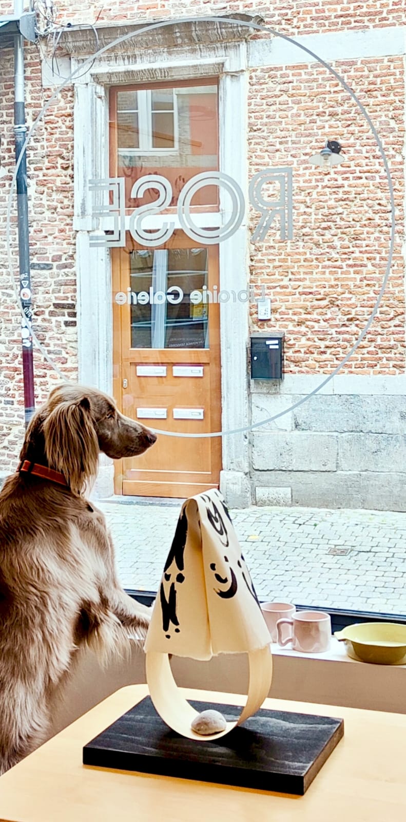 google:places/ChIJYdejQ7uZwUcR9zLjlAFPSxI/photos/AaVGc3nrONEnE-vPJAh1k0Mq-o0vqRdD2t6Nsbv7g7ENcCsekkHmMUycta2rFN90xpfiqmFJa0m0uu1Dm8UQSULbFM0Uu5JSEk1fd7s3h9rRLKbnfwKidPmaVIWTKH92GMgAHKS80wuhCy2gYXf-EW-uZUMj-TLzWMBVTXqG6vDqKvM4KDWH8W3R9Ht16R7Uz7YixEuTP6DUfF