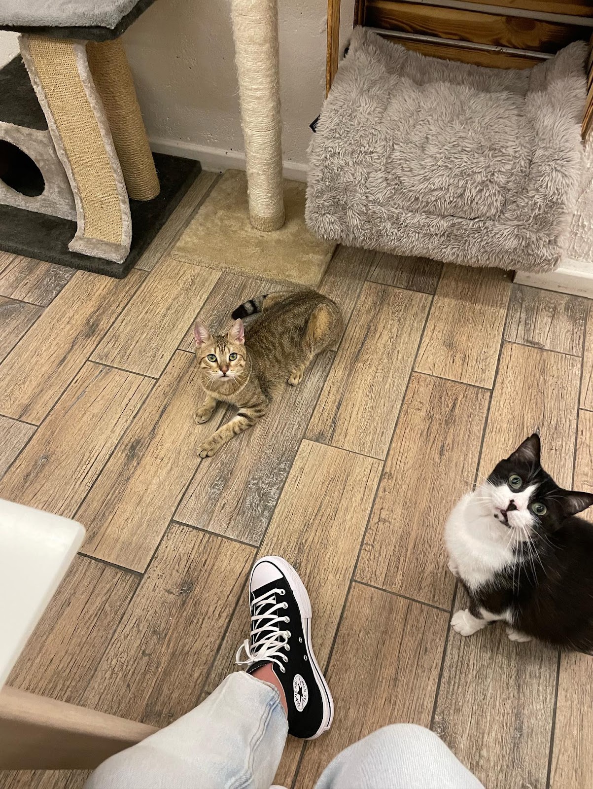 google:places/ChIJ0f-zKjWZwUcRL-ToblwVMMU/photos/AaVGc3kHjT-ORybHlmQ6Pg_fOUzmra6YZJq9LFgnxIUpZdlEfvbhkKMHmFfuLcBSOeBp7czJmtq8JHXy44qXdPhaTg3rpUHip9xfx84xQlGSflzQdL0yFU9FaGunZtSLPQ76sItkdT8p1qiXQSP4mAZCpEw2EChEpkxbyFcNb_voPTQfk4_scaG2w9BYhXT-Spy8r_uiaj9EW2
