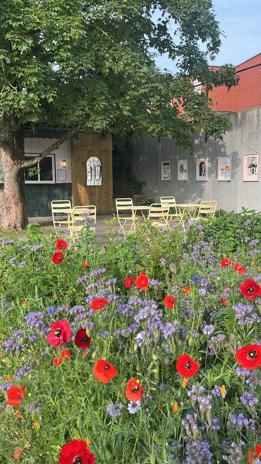 google:places/ChIJSwnUdQDRw0cRfoNUR6oYMV8/photos/AaVGc3mdlSag7Fn3CwYFnK4MqT_-Dlg84z8pSZtdegjS3-ULt6LidYLunPgMzpnnYxk_SL5h4q7ZK8oukE0TV6zbgvFBPXPeHSVdM8OZbsT-9cx_vpUVCFadjmgLZ1XjqwC4B0BSF29_WyAh-qym9Iz4AbO_eY5nOYvVmqp4-a9p1o8UoX4RX1nspyypXrm8WQjD5s_x22wn7TbH3xU9nQz4B2JPfh7Sls1zrfRd7In_bwWn4sjPO2TBxhPco9JEJUz3Rq-z8nEjHW2HIQ15txzh60brl1ahrAIxR32xVy8M--A5IVVwYuuy0KDylybCPi9oY6JBOiz8GpfC4D_LTHVClIRis8L5ibv7CSRrDYYEJEuHBVGwQxigo-1iD1M9BkHQxDSbUGPw43vytHvgmVMBR5_ok-yAbOLf_8QuXzaDBSiQrXObwgK4B-fTiMuAKMhT