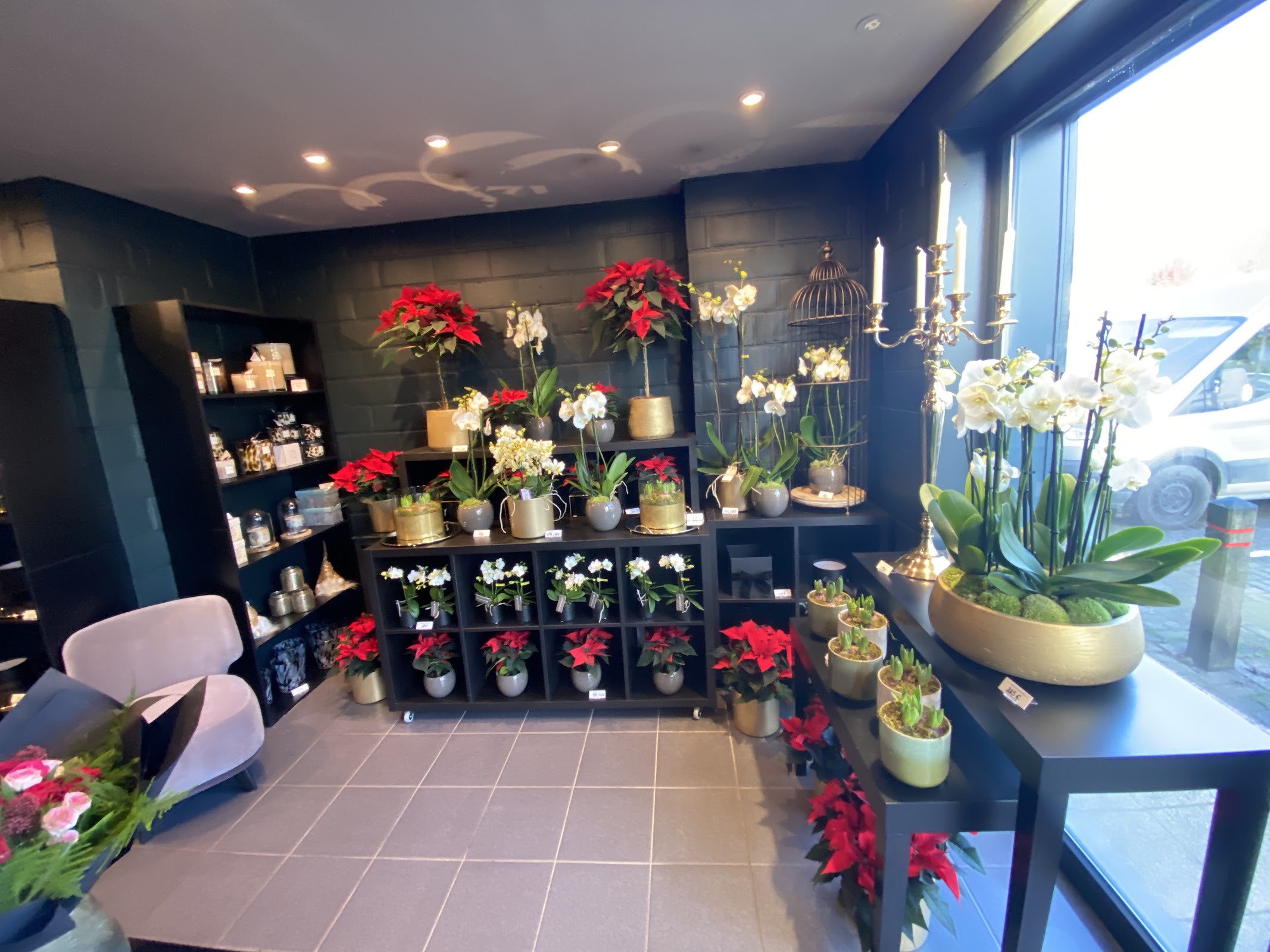google:places/ChIJ5c0sr77Rw0cRS6pA8MTMxuI/photos/AaVGc3lhqXAZGUeuOwSUm68uXA2Xghfavlv6GAbZvALvxynhHs-VVBrIdw3kFZ4Px6h6xcB2ElCQc0491cKLWhTZASaj1GMWgeey8SKDNQRUS2XvAauHenYob6P5oX5Ll64aBj08g89oPnRh5uvKnAYbu6O14WZOJ0ARqCuISdT3_Wjhs4SvMz9m7HirGQrKme_aqgHDdchqQL7GxklQsIxYbDEU6y5KLZwmVuWU4X9qp9SQxflhfcMjIY1urDMd8a0MrFX-mRRxE9HdrWeoPil-IWzXhYLUcvBsSAiErJlHEcU2aP16jhlzp0kV7lKgl91DN_5mRYUGmgLRgNX-_SLMtWflj6hYBBxVLCIqf-cpZnGjm95UaVBFmKsTZDtaBCcp6pnc2KqN7RcDGDlVNWAiudHSMujcxsMxObcJPQicAFOaGw