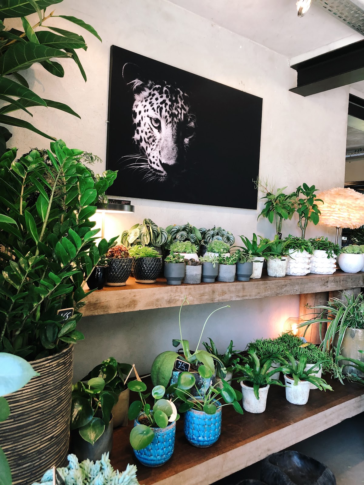 google:places/ChIJpaSsGATRw0cRFPCl7ZjHNmw/photos/AaVGc3kVcY67pcnYLipXYbh5lFPiaibf3Mr3zkxbB7HYtd2Pps7rWPKkDfbfjCArDv4Jo1yCgHwW1mWXACy20zoE-ihNV10PrTm8rhKcMEgIWpgTDTEQwZ5cEpNTWlEf6NAfanB96YcoAE4Sq60Q7D60Wxc5YVo_fznfdOSmn5G9pAYtth9QrvocQzwQe1pOQjHEWYHx4HJt3I3G5seDbGtcL_vroa1F2kl4VkXtyH_cuD2QqukHsiT709y-TnMR1sPrJB5q9s0Oxq9C65aGQpRMC0oJ3EtY6ViSyBQF5PQTFy-Qu-JslWU2iVROwcwgrVLUoOxy8WKovQjTy3rs9Ahgmh6QQiAJX6kJyAXazdegCSNEra_pzj5JeWMXclrC2mmEu1PZ0EwUe3Sv8cGpAKIH3bx1yXdyh_upDWIp5crZF3NuyQ