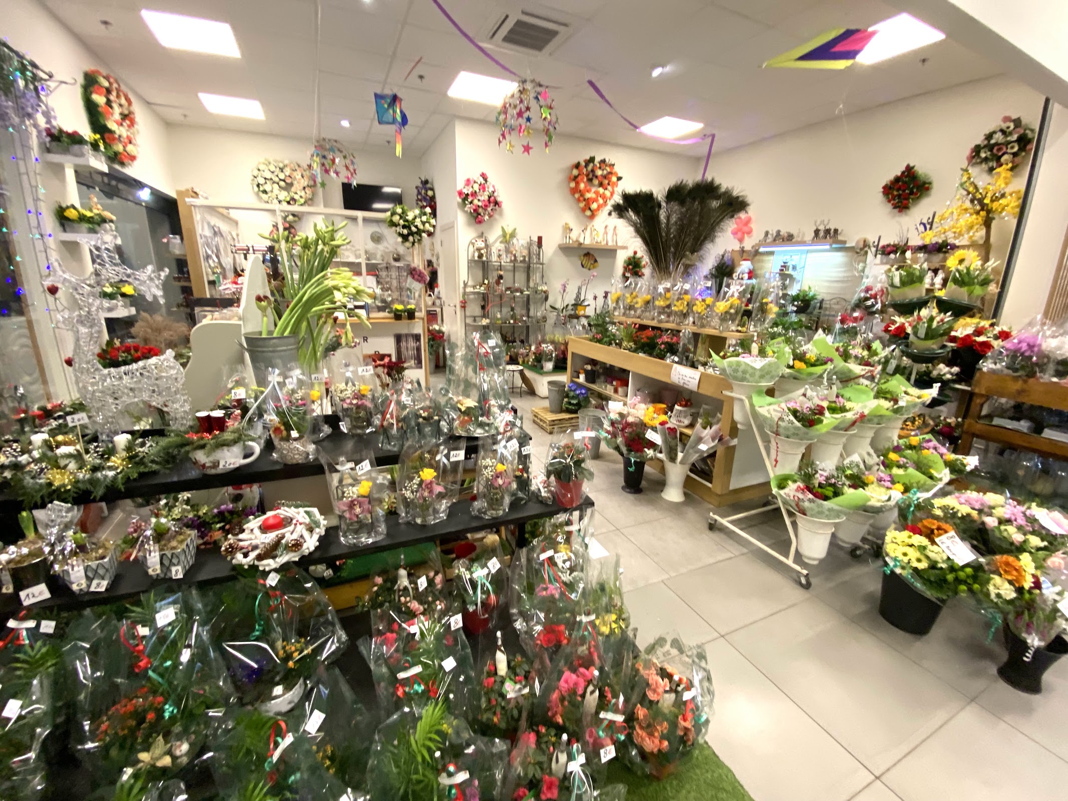 google:places/ChIJwV0OtvLRw0cRvAsQUrIhwWw/photos/AaVGc3kaiMgks8n5embYGHgC9qHuX0t3Z6rWnaYjT1O0JIS8KOwdIY3CPBGOSykQKoFXXagupTDnThW_EDMn7EAyOyg5qyJqh8SFp_UTiypzLTM2e1P8OQ6Oer7bVF_rTIOMo0oMjKpfjrSIg1_XX-Kcwc6lNWovEjjTsTSrde_AF-a9gWzBYqdNxMUKJE-WCa9b9iGB1CcvnWC8xLZJubKunUpWXw949a-46iHVVX5QHjVBp9JJiqFYv1q0UpWEYJzbFMKPF9O7Q7Le7GrzKSfv9wouS7zi5LsauzJSH9_iXWuB7bA5bZbC99NWo-tQ3mdkh8XYcKhtCnbsNK7SQ2sVTjrFL_rNCdAcWzyqKmdX1VsACorRSGPWXr2Q8t-tr809V65CydV1Eg1i4BNWXX2kKRNOLQGpv7ipwlj6MJCpj7k