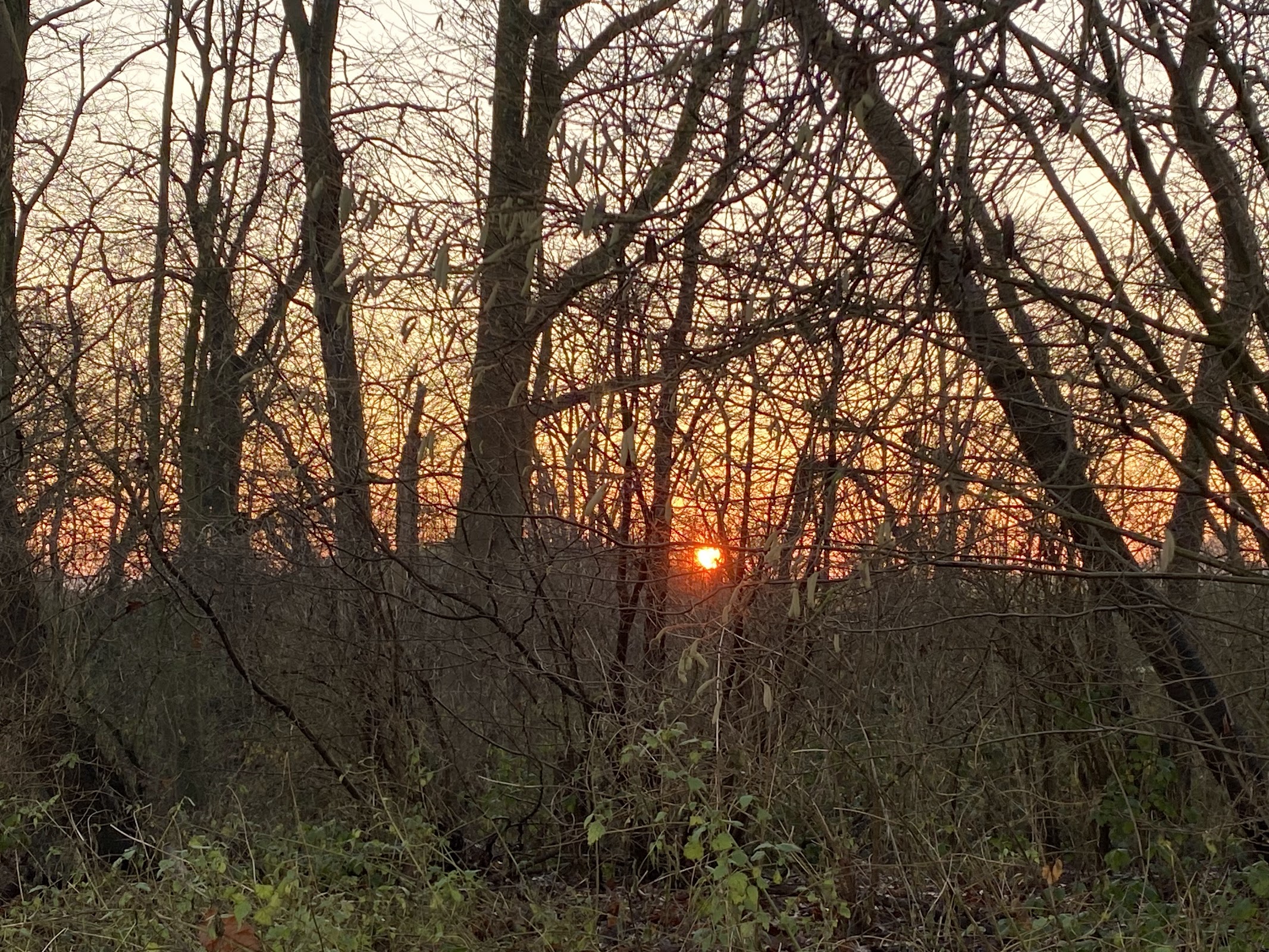 google:places/ChIJwV0OtvLRw0cRvAsQUrIhwWw/photos/AaVGc3mdb67TxEwcvV4rmxW0AxaPxxZJlSiA_v74hyT1uMS8HjbOYN0Xql7dzPUfjlJhBKps1WkkC7FXMdIFEnGKf1SuW0PeMH8e6z1tnJQkJ7DG3Yu3rH55RG7OXbuQSxCqGgqldmikypm77rH57IxNIn3pknQIAfrNyeN2wFZHU9wyMw_Rn9d3eSL6AbQSOb4gk5bQSqgWRmCbEN1VGIKcmz7ICx-hC2IDimJJbPFlv1flOP-lZrqEAN8J7PVGRuJ0uivxFy0HsqtSb4WQjMq0sR77INvdtxVn_TaExmfXCwWhPQVVv5JbYJOiQDy-BV2OEieZKPE5-E_YjZRTSQ84eQygY3v6KZTZU1_94pmeoOJ2oLdIq1naIFEQXrq6sAys1Jf-jNFkCBT9cqer6w3RrYni9zlrQQ6WGxmmOJzsx4942owc