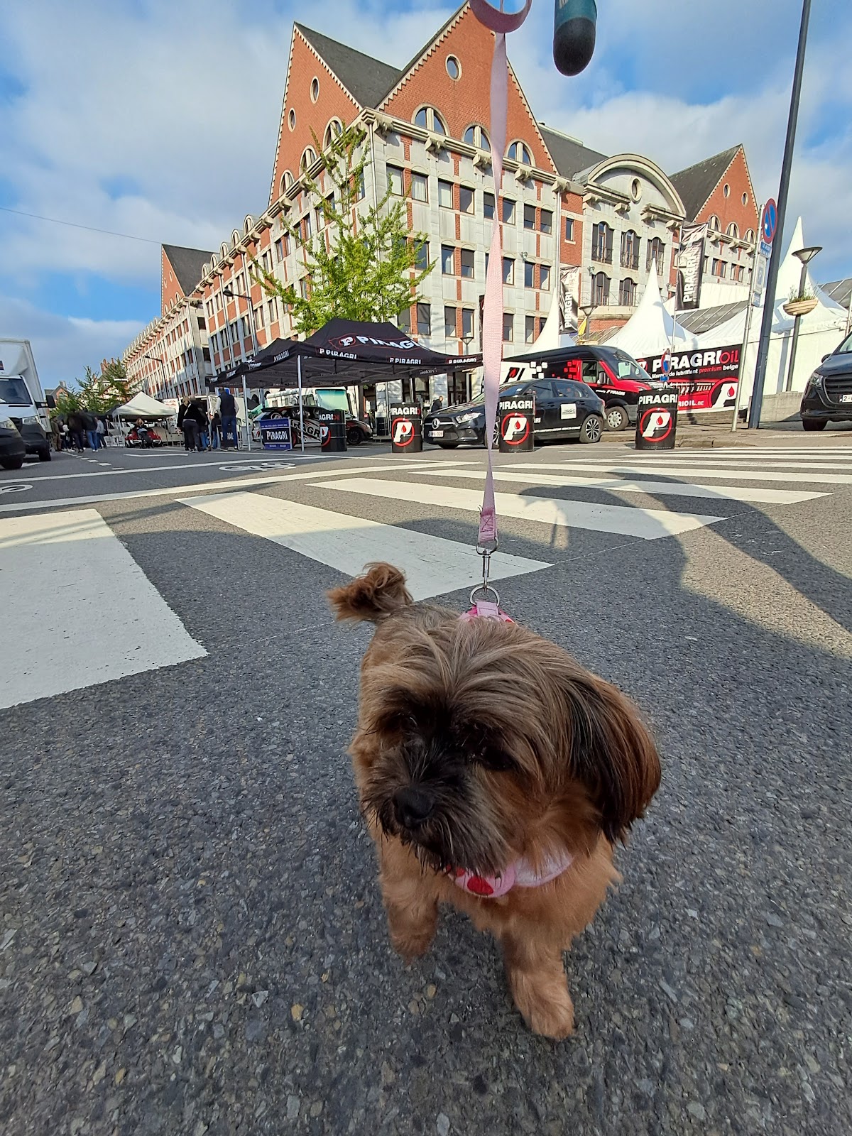 google:places/ChIJPZHUmQuZwUcRxHr7ktG9Sxo/photos/AaVGc3ksfYkz5ziXyzhppCNbwqqAairpzZPJ8zr4AilHwFJMDZwqT8iHkDFq9R_Okj921OR47oRIoKjX9g9NXTvQBXuLZ43sK8uz-fYbq-Ct-D5kN61VSHUDh_3FCaATsq1S_VnpJkdngPliVzMHd906plVbjSusixjLGxRTV86gcAKyAjBj_YZPHrcEWxeKiRXInre_OpXRQJ