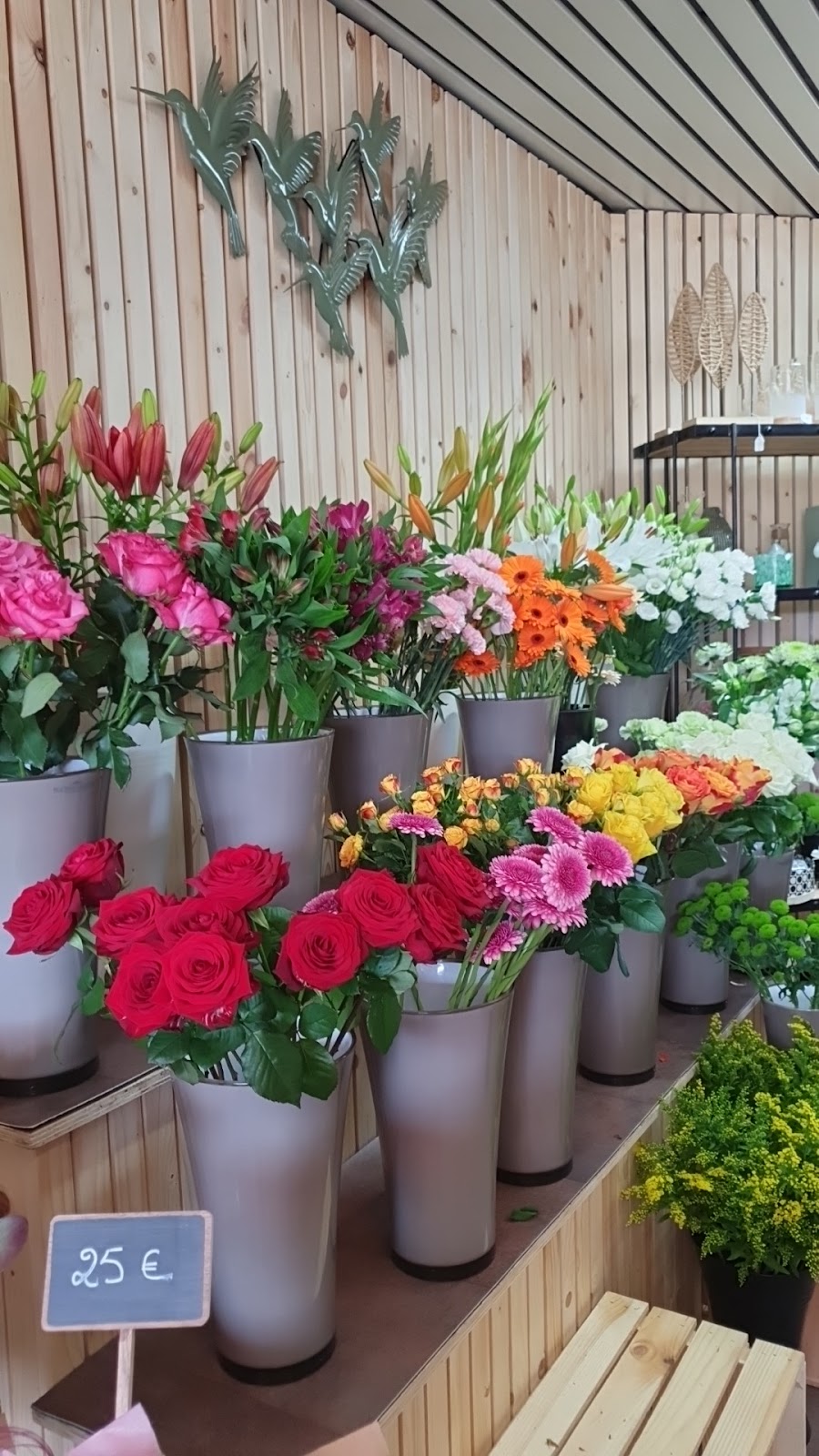 google:places/ChIJN4Ulu7OiwUcRcaph4hf4vRY/photos/AaVGc3mC_H2QR5-EgdEc7ueCLGduGJIkl6vQYh8I3Ba_f-M69bcjP22iz_DZ6Ei0M7H2_EAShrOIJ2ZFhX5pJ33q3KUfMxKnyVpc-Z4TiDUaW5Zqqb6q4xlYle_mWBlGCFLvArN3wJMN_brDS-jjECrNU61a9ZLsJQg1PFsM7ool8ET_m5OXzrejareN6TrQYJMh-_8jsK5lqd