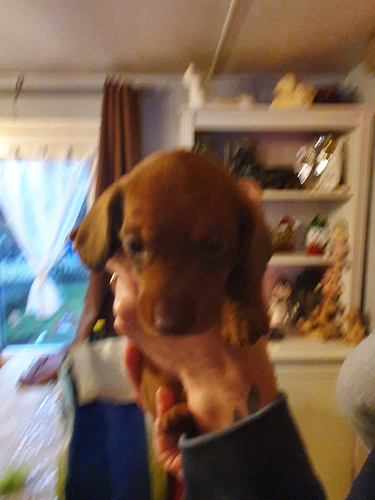 google:places/ChIJofhhohS1wUcRFdOLyI7IyjE/photos/AaVGc3mEbpWgcLkIsyxWHx7kwuCkW1j4YdgKqifU0c1zApdUydNihzvIrifSw-HWCX2Zk_MPusDfzr0yIWl5fskf6B4l4YwTPRKIM5WxKM0NllfTYB0EX8WLtHGhKdHaCccU9ZLW7qY35DjA8BihZtdkenyTWWyLtLwQZUumw9NpCU133bnVLd17CL7Ms9bk1SfNXWJiviYxoX