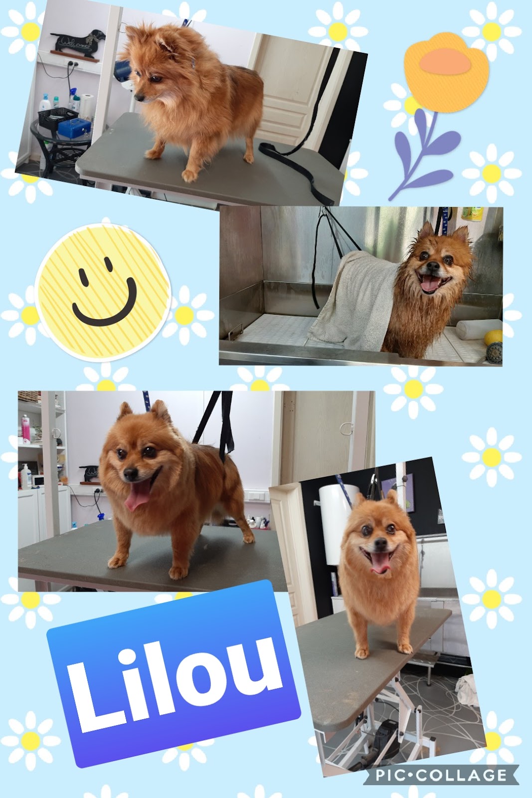 google:places/ChIJofhhohS1wUcRFdOLyI7IyjE/photos/AaVGc3n7CYsBiZQpiu6tjz_z-gTdAxoXqksmHJVM9JuEqlQDX7cDqc4FyGB49rNVxS-3YHeDfWozwjgc4A196IYp1z2iI0BfuuT9vo3c8wtnzqwudbHb7OEW0hCN3Zw2MrIYXdQCtc8P15kEXPv92WlUEwmUU8g9YI2iQonuC7gRKlSCEZA5-3pRdJFKbYYXQIdz3-okoEVgFP