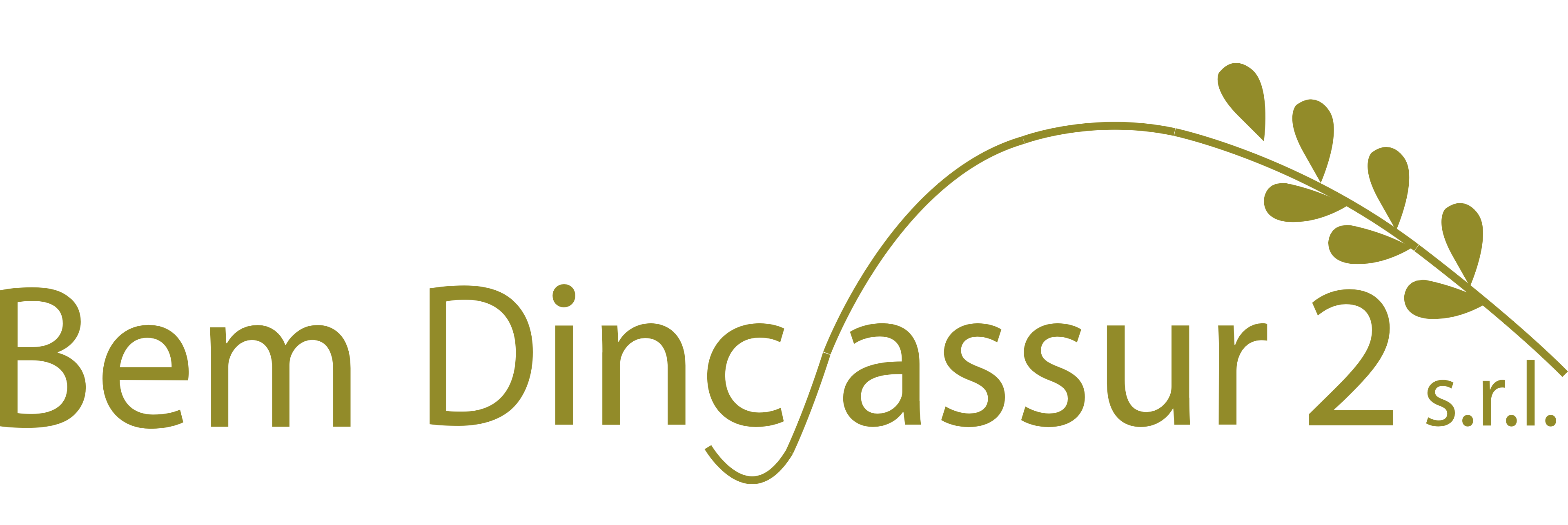 Bem Dincassur 2 s.r.l.