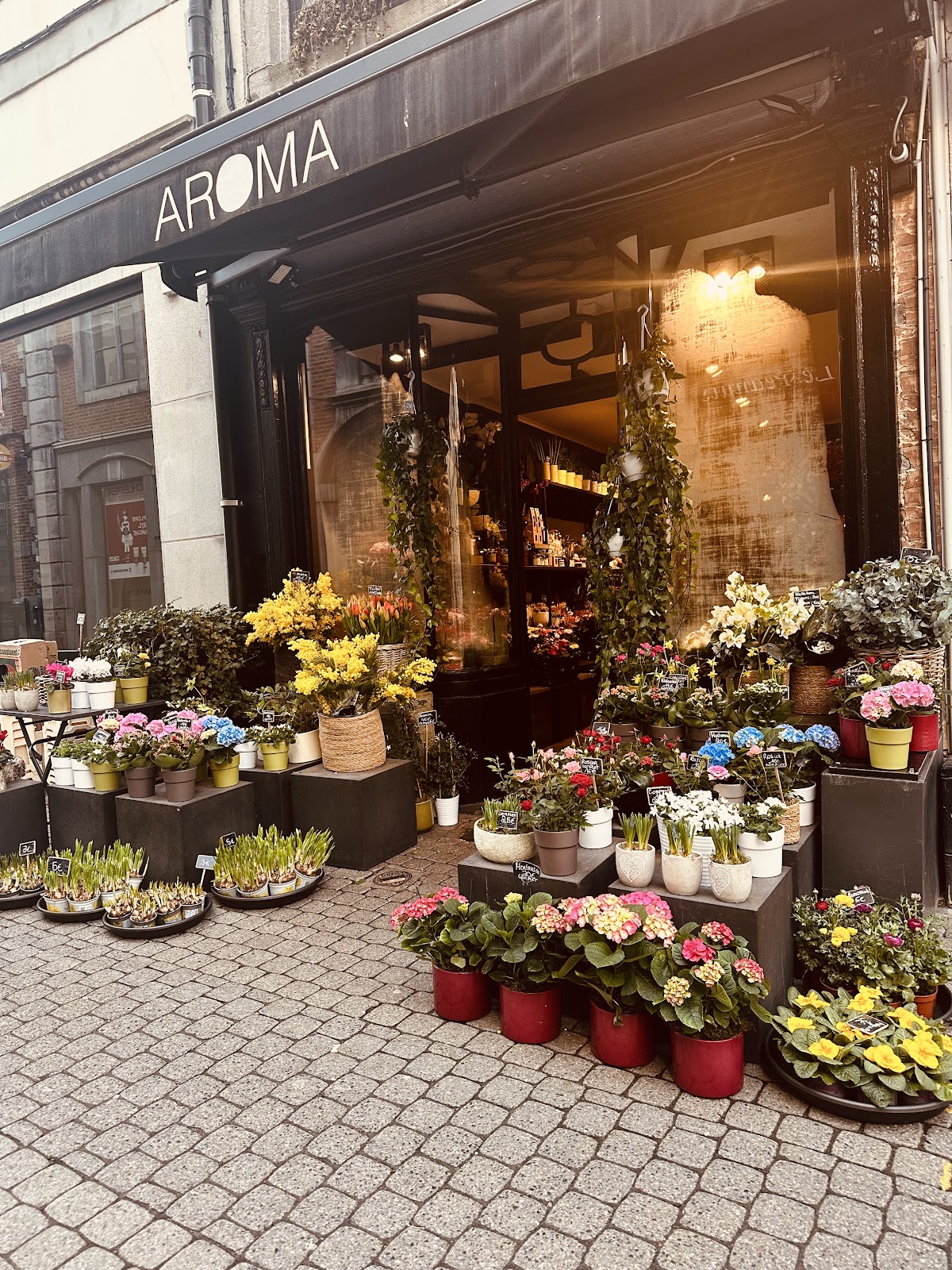 google:places/ChIJqUtPAEyZwUcRVdcSbWB6Quw/photos/AaVGc3loV4GFdV85oeHrbsRkvM52hsPqd8X02mrEL14K5YNsMsao8NDJ_hRNRrQcDTTzrCnMLW6hzf4c0zNkDMdE9Gr3UxA5qNMlZE4IdjK21Sp3cy_UHTk_hkQpGvKeBqKgm402Yv93rl508ZwvjqEeO7d0Ip-DJ2Gzk2ztm7m9XWRMoHSJ-hlhqjQ9rCCbRCtgaqipig4AFK